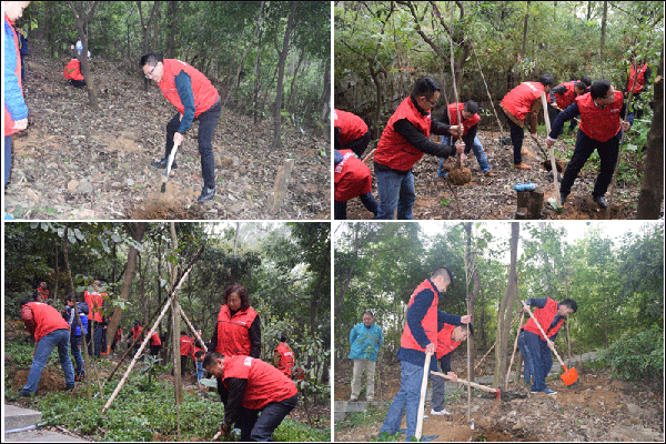 新美裝飾-新美動態6 (1).png